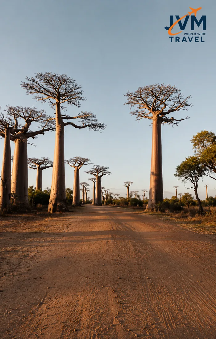Madagascar — visa and document services with JVM World Wide