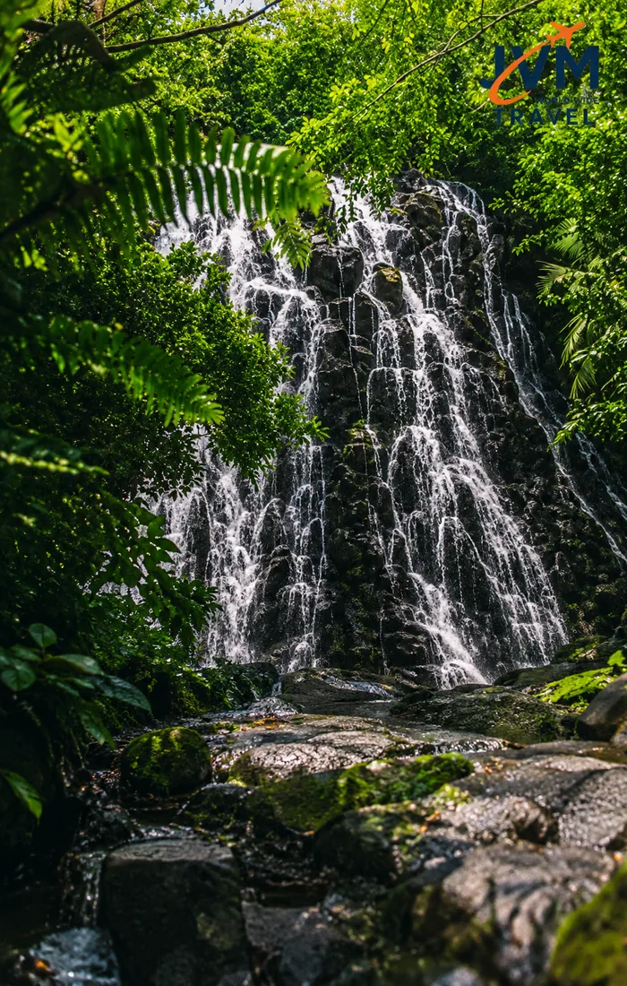 Micronesia — visa and document services with JVM World Wide