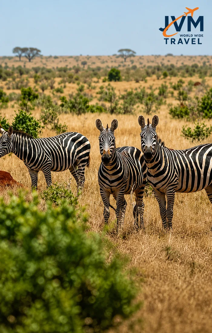 Tanzania — visa and document services with JVM World Wide